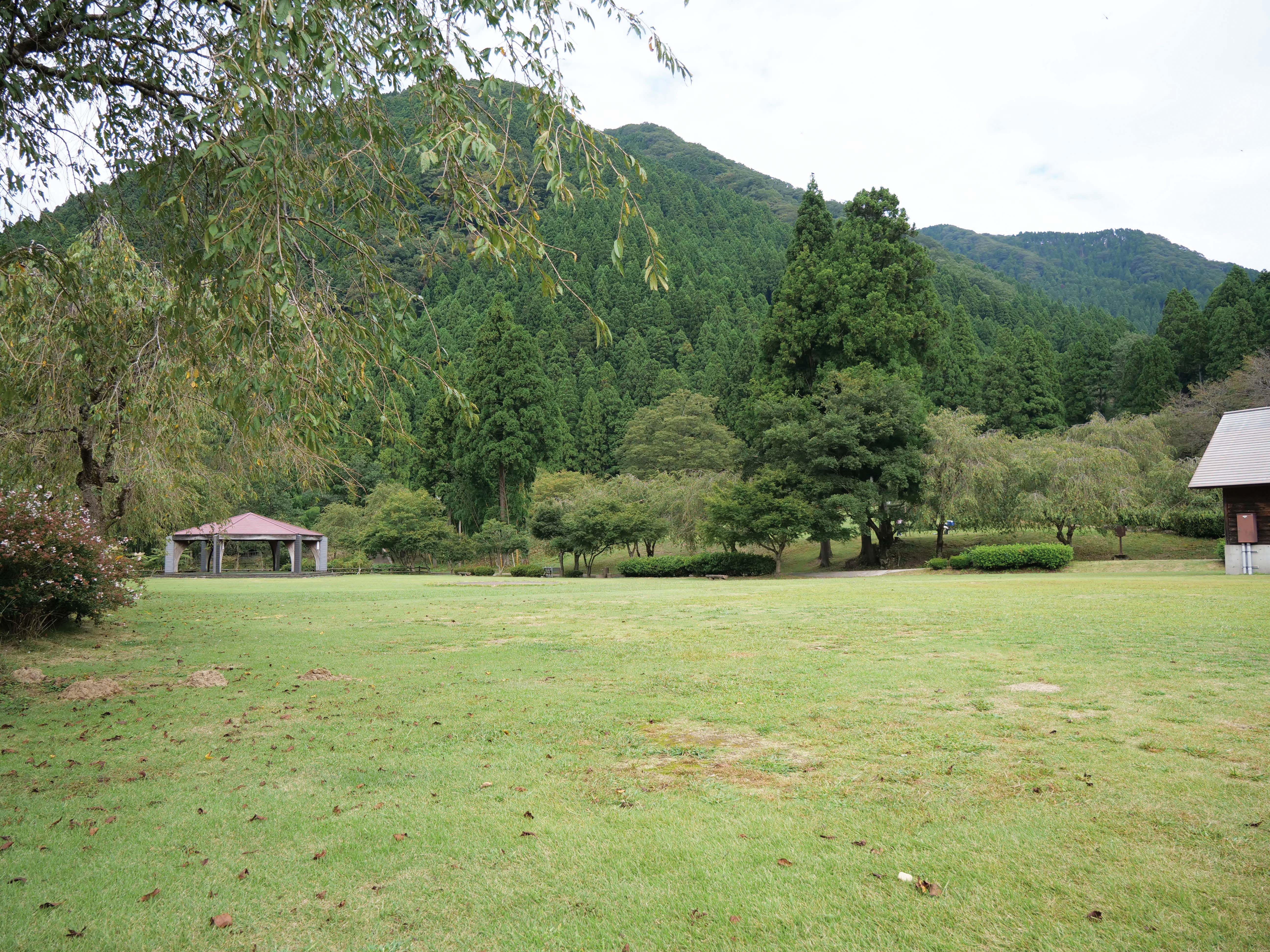 川側のエリア。平坦で初心者におすすめ！