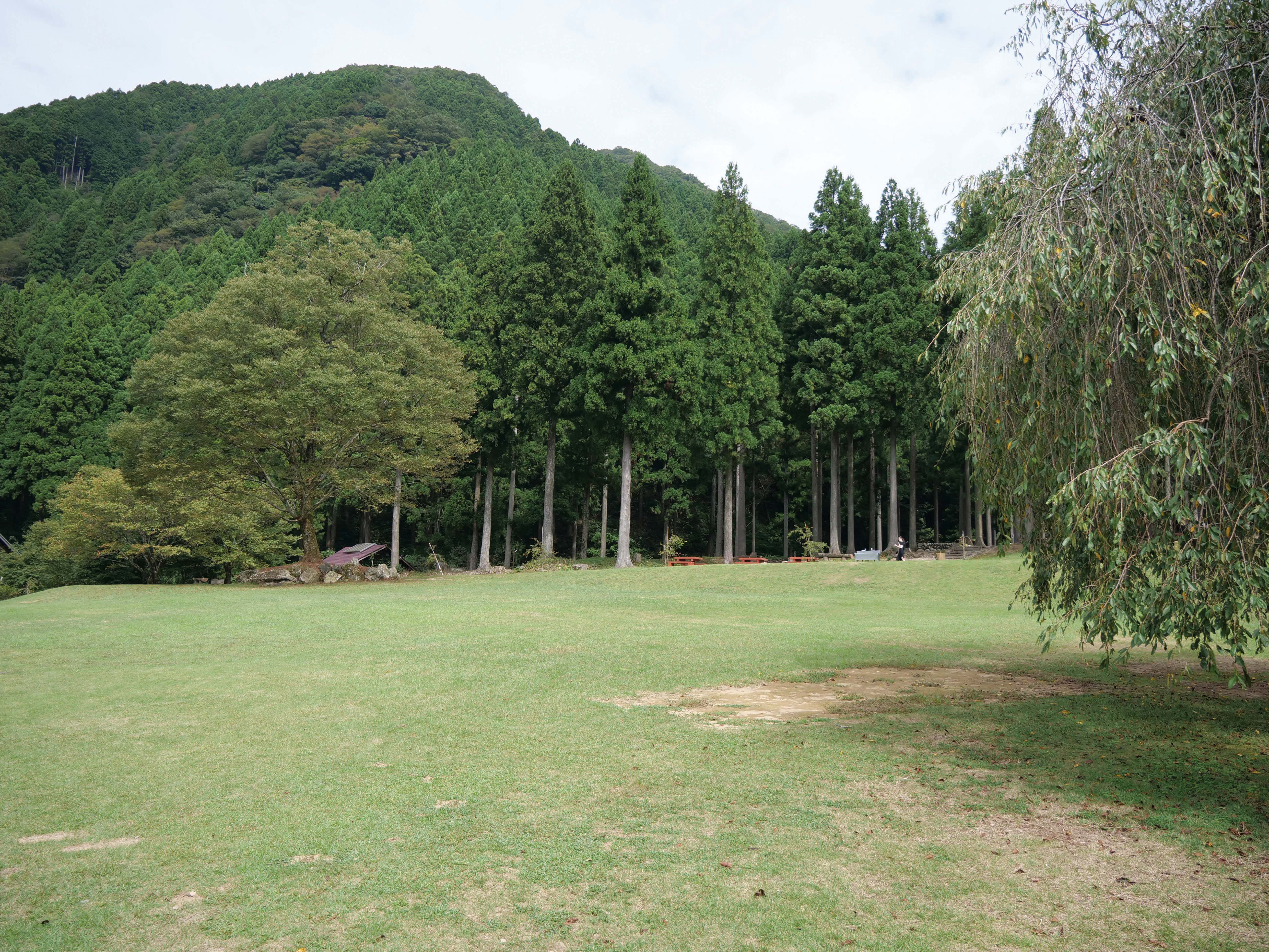 山側のエリア。少し傾斜があります。